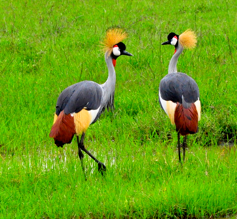 Melanie Heinrich Travel Images Africa